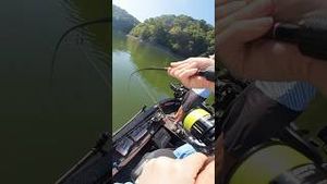 Video post by @jonasederfishing on YouTube