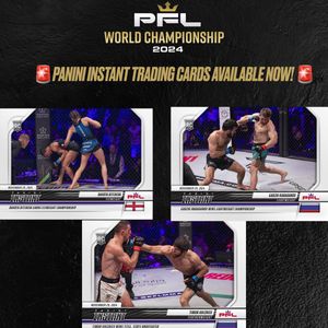 Image post by @PFLMMA on Twitter