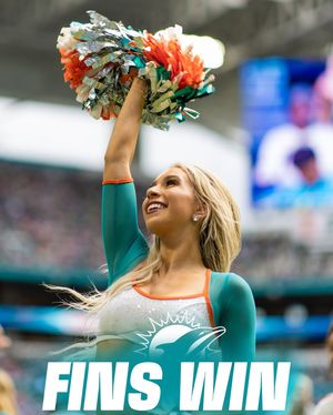 Image post by @dolphinscheer on Instagram