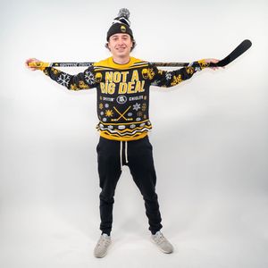 Image post by @hockeyhousepod on Instagram