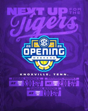 Image post by @LSUsoftball on Twitter