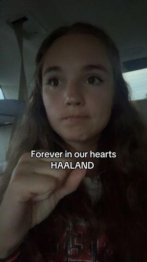 Video post by @korsen_land on TikTok