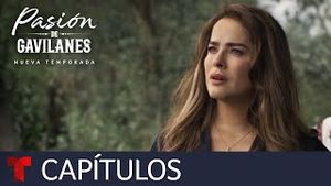 Video post by @telemundo on YouTube
