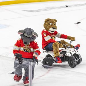 Image post by @stanleyc.panther on Instagram