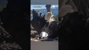 Video post by @accuweather on YouTube