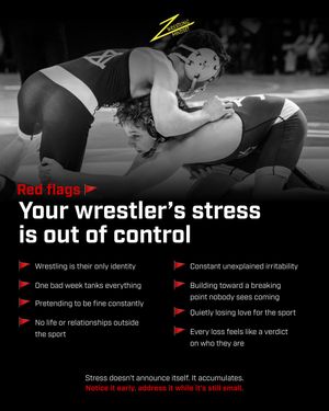 Image post by @wrestlingmindset on Instagram