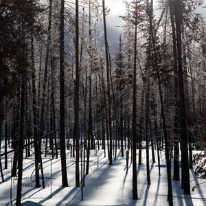 Image post by @lightboximages on Instagram