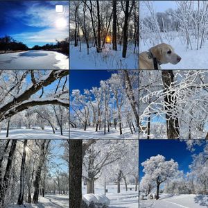 Image post by @fargoparks on Instagram