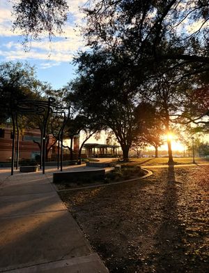 Image post by @wmnf885 on Instagram