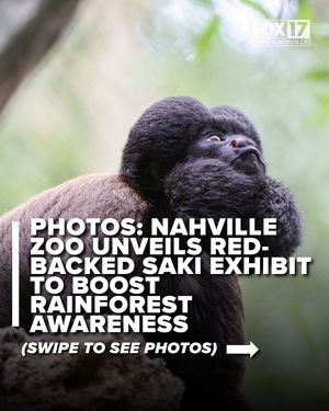 Image post by @foxnashville on Instagram