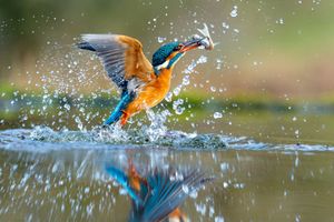 Image post by @sony.deutschland.at on Instagram