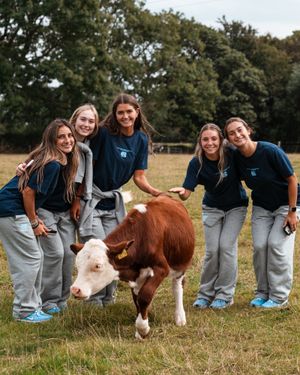 Image post by @uncwomenssoccer on Instagram