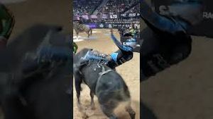Video post by @pbr on YouTube
