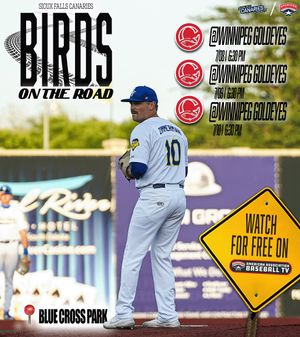 Image post by @canaries_baseball on Instagram
