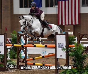 Image post by @americanroyalassociation on Facebook