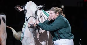 Image post by @wdexpo on Instagram