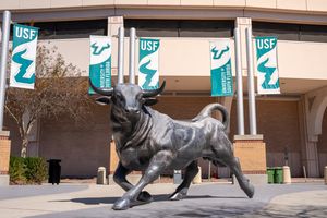 Image post by @usouthflorida on Instagram