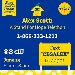 Image post by @alexslemonade on Instagram