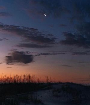 Image post by @southcarolina on Instagram