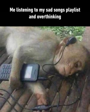 Image post by @9gag on Instagram