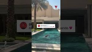Video post by @deportes on YouTube