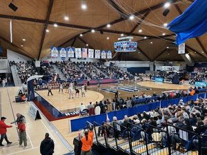 Image post by @company/fairleigh-dickinson-knights-athletics on LinkedIn