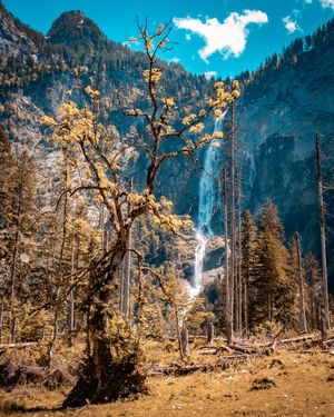 Image post by @cristan.nature.photography on Instagram