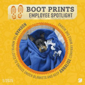 Video post by @reel on Facebook