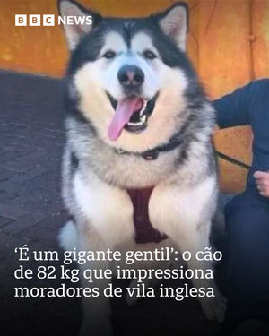 Image post by @bbcbrasil on Instagram