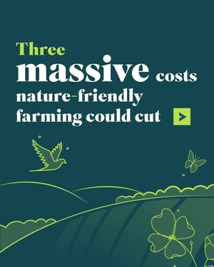 Image post by @rspb on Instagram