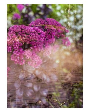 Image post by @W.39thPhotos on Facebook