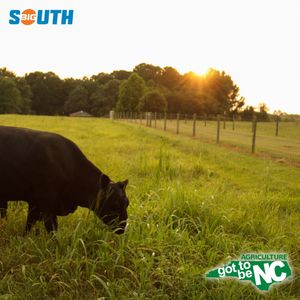 Image post by @bigsouthsports on Instagram