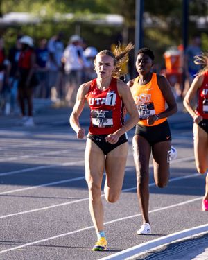 Image post by @UtahTrackXC on Twitter