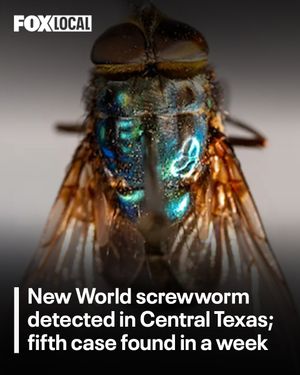 Image post by @fox7austin on Instagram