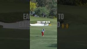 Video post by @LPGA on YouTube