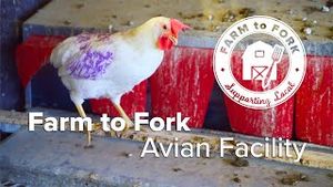 Video post by @ucdavishousing on YouTube