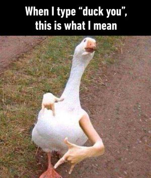 Image post by @9gag on Instagram