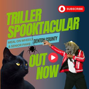 Image post by @mow.denton on Instagram