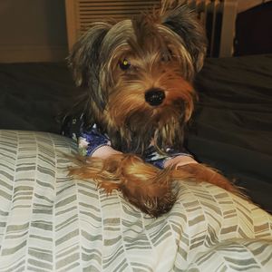 Image post by @kittyj08 on Instagram