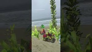 Video post by @spectacles on YouTube