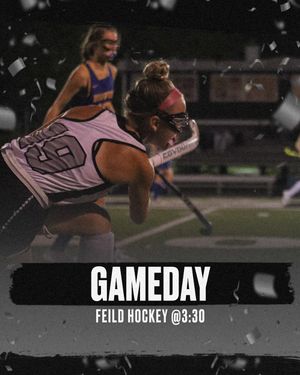 Image post by @blackhawknest on Instagram