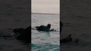 Video post by @tyramills_ on YouTube
