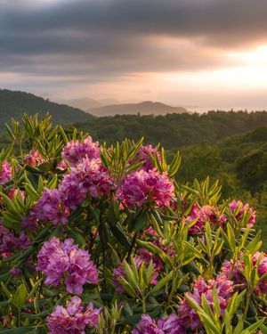 Image post by @nationalparkscollective on Instagram