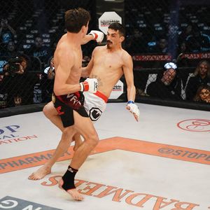 Image post by @upnextfighting on Instagram