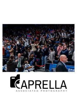 Image post by @caprellaassociatedphotos on Instagram