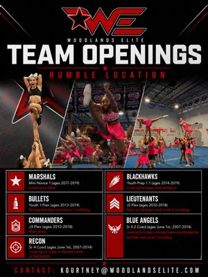 Image post by @woodlandscheer on Instagram