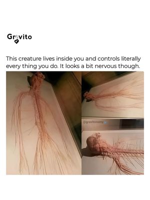 Image post by @gravitonomy on Instagram
