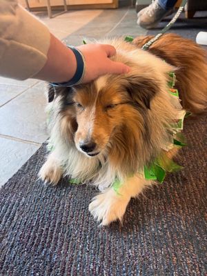Image post by @marshallulife on Instagram