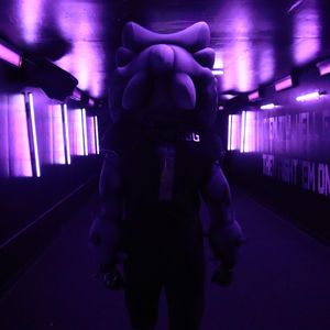 Image post by @tcu.superfrog on Instagram