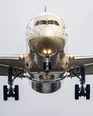 Image post by @etihad on Instagram